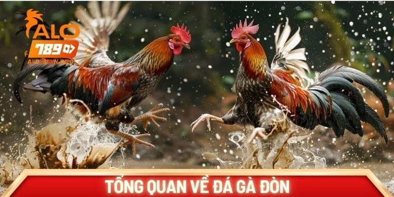 Tổng quan về đá gà đòn